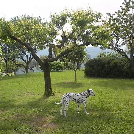 Le Stagioni Country house Loreto Aprutino